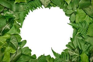 Green leaves circle frame with white empty copy space in center, flat lay top view photo