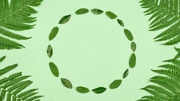 Green leaves circle frame with fern leaves in angles, light green copy space in center, flat lay photo