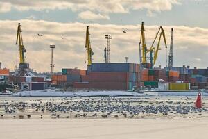 Harbor cranes, container ship terminal, cargo container yard photo