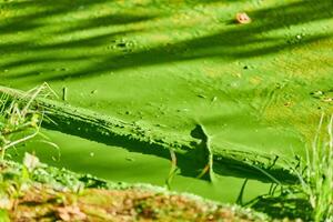 contaminación ambiental del agua foto