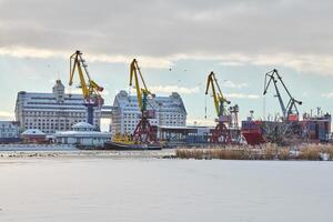 Moored ships and harbor cranes in port photo