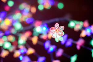 Bokeh de luces de colores de guirnaldas decorativas de flores luminosas en vacaciones, luces multicolores foto