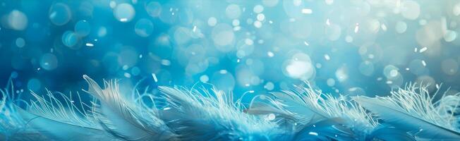 Ethereal Blue Feathers and Bokeh Light Abstract Background photo