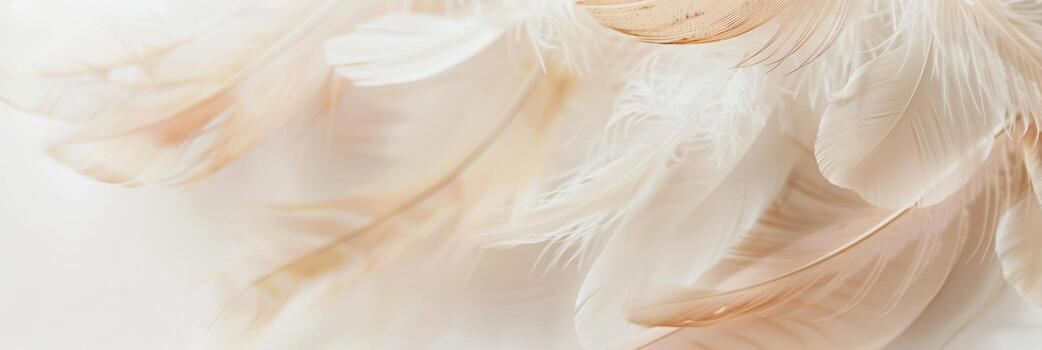 Ethereal White Feathers in Soft Focus photo