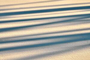 Abstract shadow lines on winter snow background photo