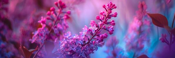 Ethereal Lilac Whispers Blossoms Ablaze in Twilight Hues photo