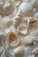 Collection of Elegant Seashells on a Soft Linen Background photo