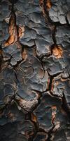 Nature's Mosaic Textured Cracked Earth in Monochromatic Tones photo