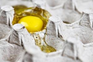 Broken egg in paper egg tray photo