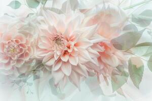 Soft Blush Floral Dreamscape with Transparent Overlays photo