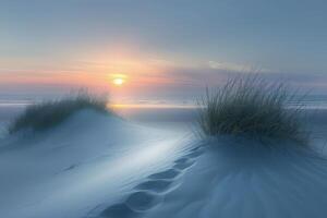 Serene Dunes at Sunrise Footprints to the Ocean photo