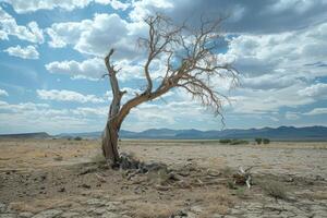 drought landscape with dry cracked earth and dead tree. Global warming concept photo