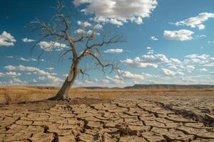 sequía paisaje con seco agrietado tierra y muerto árbol. global calentamiento concepto foto