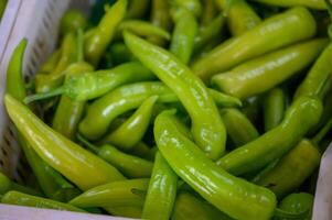 green pepper in a box in a store in Cyprus 1 photo