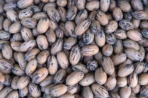 Pecan nuts background, top view. Pecans fruits texture, close-up photo