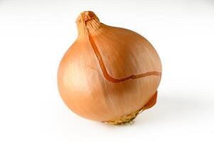 Onions isolated on white background photo