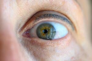 A close up shot of a beautiful green eye photo