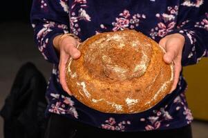 appetizing homemade whole grain bread in the hands of a woman 1 photo