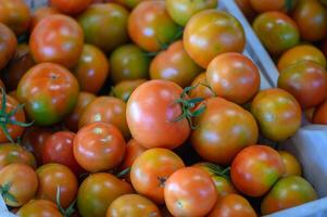 tomatoes in a box in a store in Cyprus 3 photo