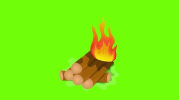acampamento osso fogo grampo arte, madeiras com chamas queimando animação em verde tela fundo, 4k animado video