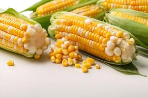 Corn collection isolated on white free images photo