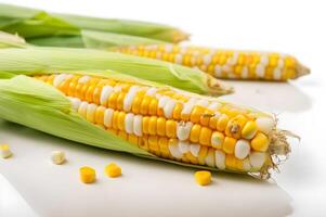 Corn collection isolated on white free images photo