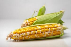 Corn collection isolated on white free images photo