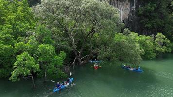 Kayaking at the mangrove forest, beautiful nature, drone, Krabi, Thailand video