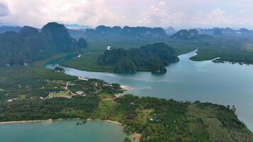 el mangle bosque, hermosa naturaleza, zumbido, krabi, Tailandia video