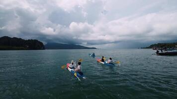 Kajakpaddling på de mangrove skog, skön natur, Drönare, krabi, thailand video