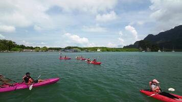 kayak a il mangrovia foresta, bellissimo natura, drone, krabi, Tailandia video