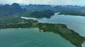 il mangrovia foresta, bellissimo natura, drone, krabi, Tailandia video