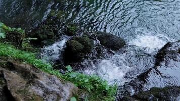 klein berg rivier- met kristal Doorzichtig water. water stromen over- de stenen overwoekerd met mos in groen Woud. ochtend- zon breekt door de bomen. langzaam beweging schot. video