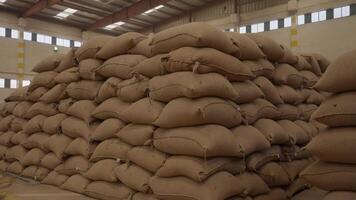 Bags of grain coffee in a warehouse in Ethiopia, slow motion video