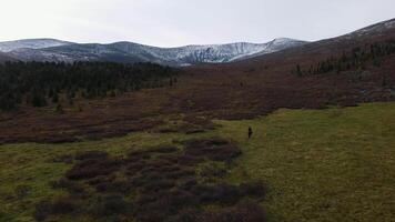 aéreo ver de un hombre en un caballo con Nevado montañas en el antecedentes video