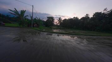 fpv dar rijst- terrassen Bij zonsondergang video