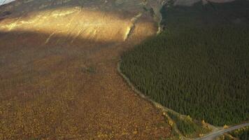 Aerial view of a mountain full of burned trees. video