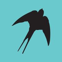 Swallow logo design vector