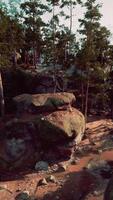 Group of Large Rocks Atop Forest video