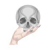 Illustration of skull vector