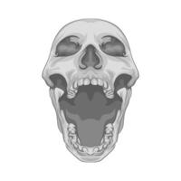 Illustration of skull vector