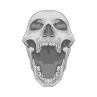 Illustration of skull vector