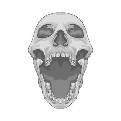 Illustration of skull