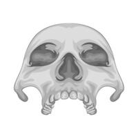 Illustration of skull vector