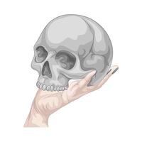 Illustration of skull vector