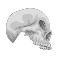 Illustration of skull vector