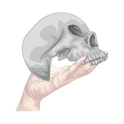 Illustration of skull