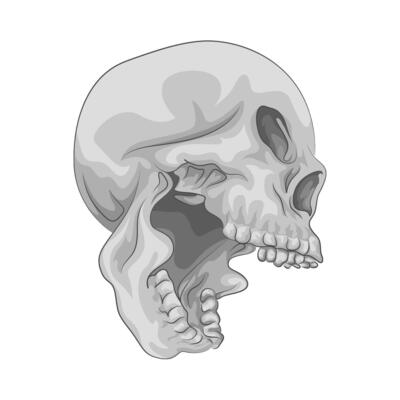 Illustration of skull