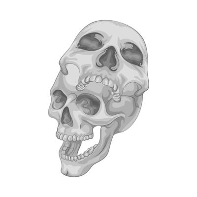 Illustration of skull