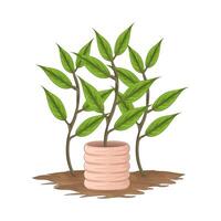 Illustration of plant vector